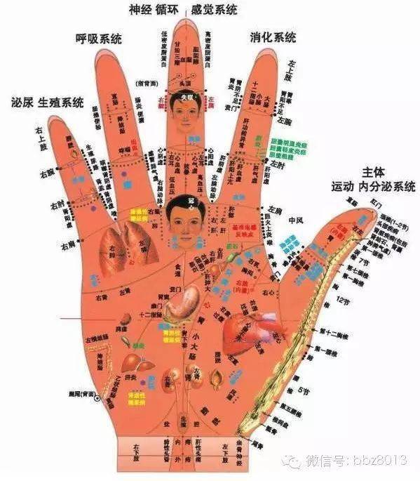 较长时间的拍手可以震荡气脉,带动十二经脉