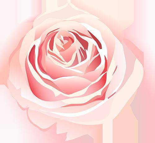 数院女生节丨将春日的明媚 揉进璀璨的花束_黄文博_全体_寝室