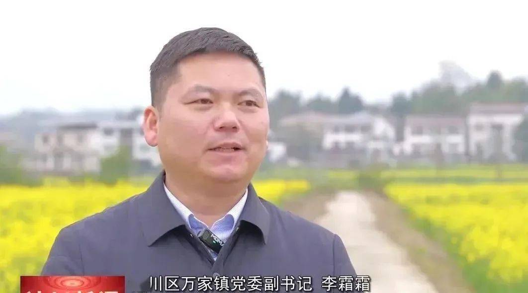 【走好乡村振兴路】油菜花开遍地黄 稻菜轮作促增收_达川_万家镇_推广