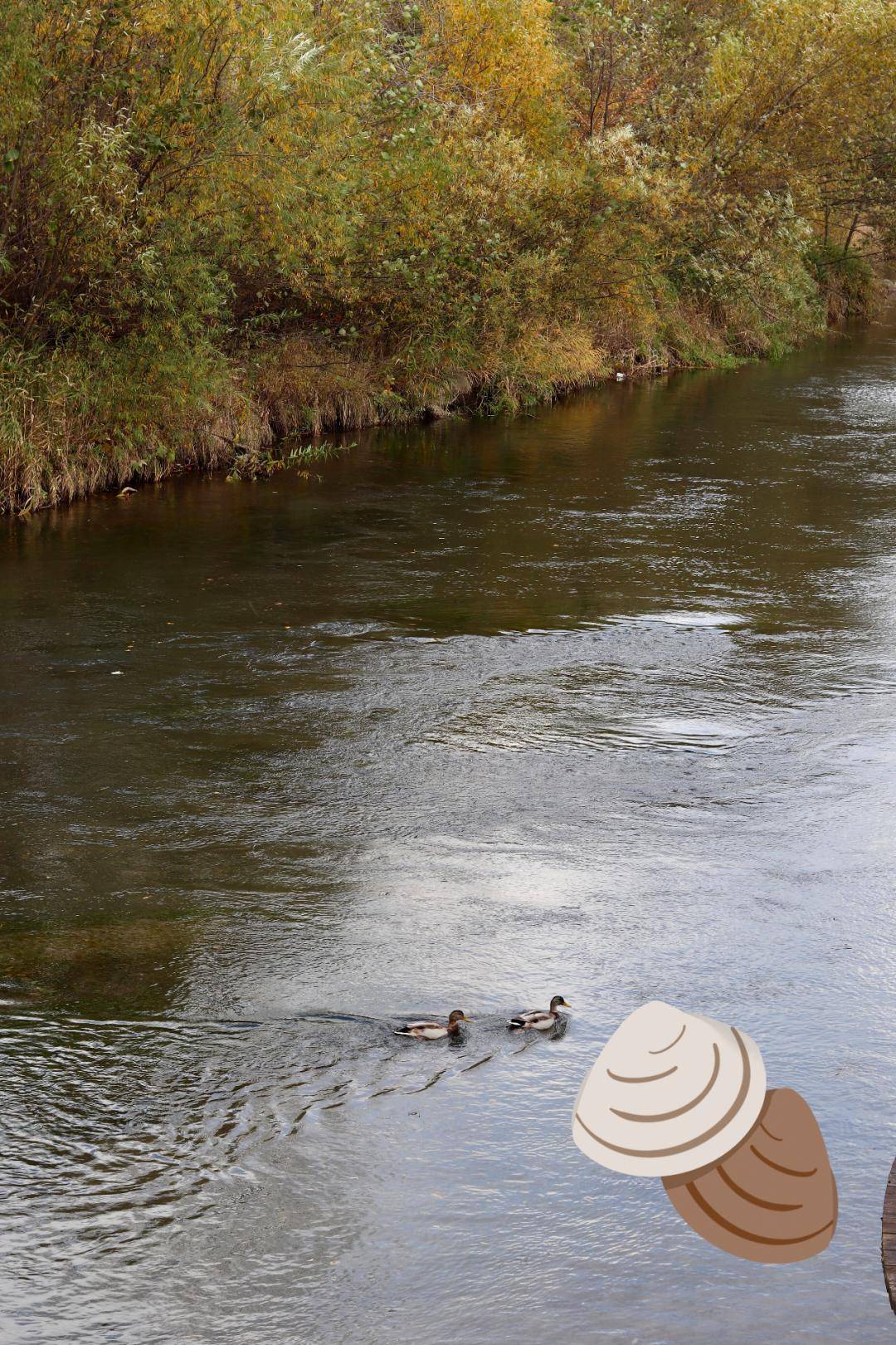 封龙琬酱香酒,藏悠长岁月情|秦池酒业2024年酱香原浆酒封坛礼即将开启