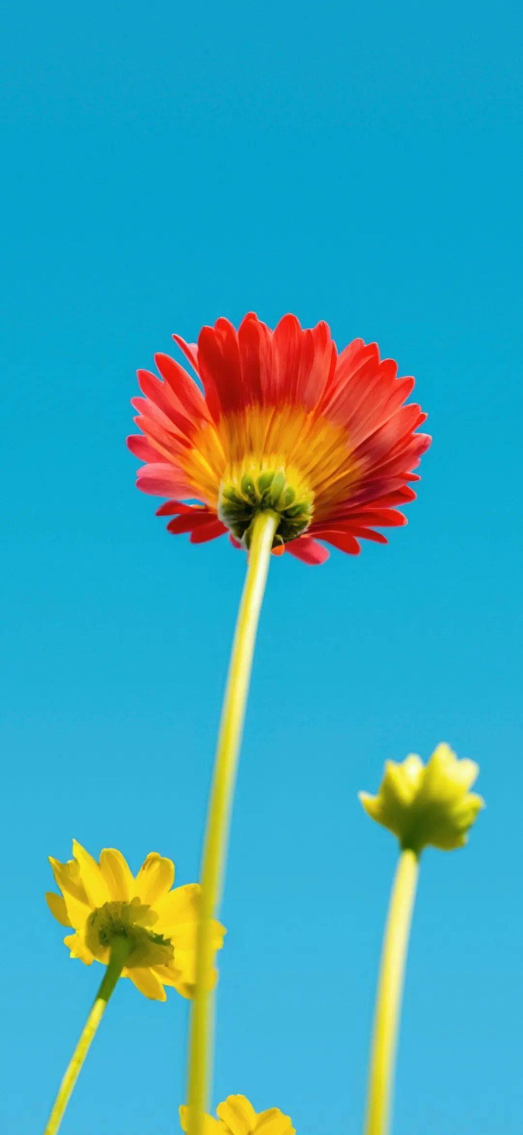 壁纸 | 值得收藏的精美壁纸