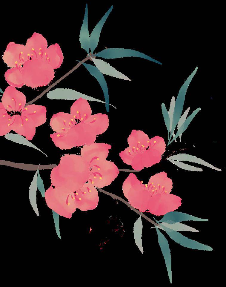 跟随老师的脚步「追春」吧~_活动_写作_读者