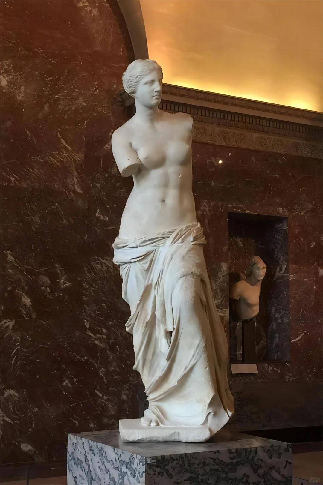 本以为维纳斯只是美神,没想到她还是献身医学的永恒女神 — 《解剖