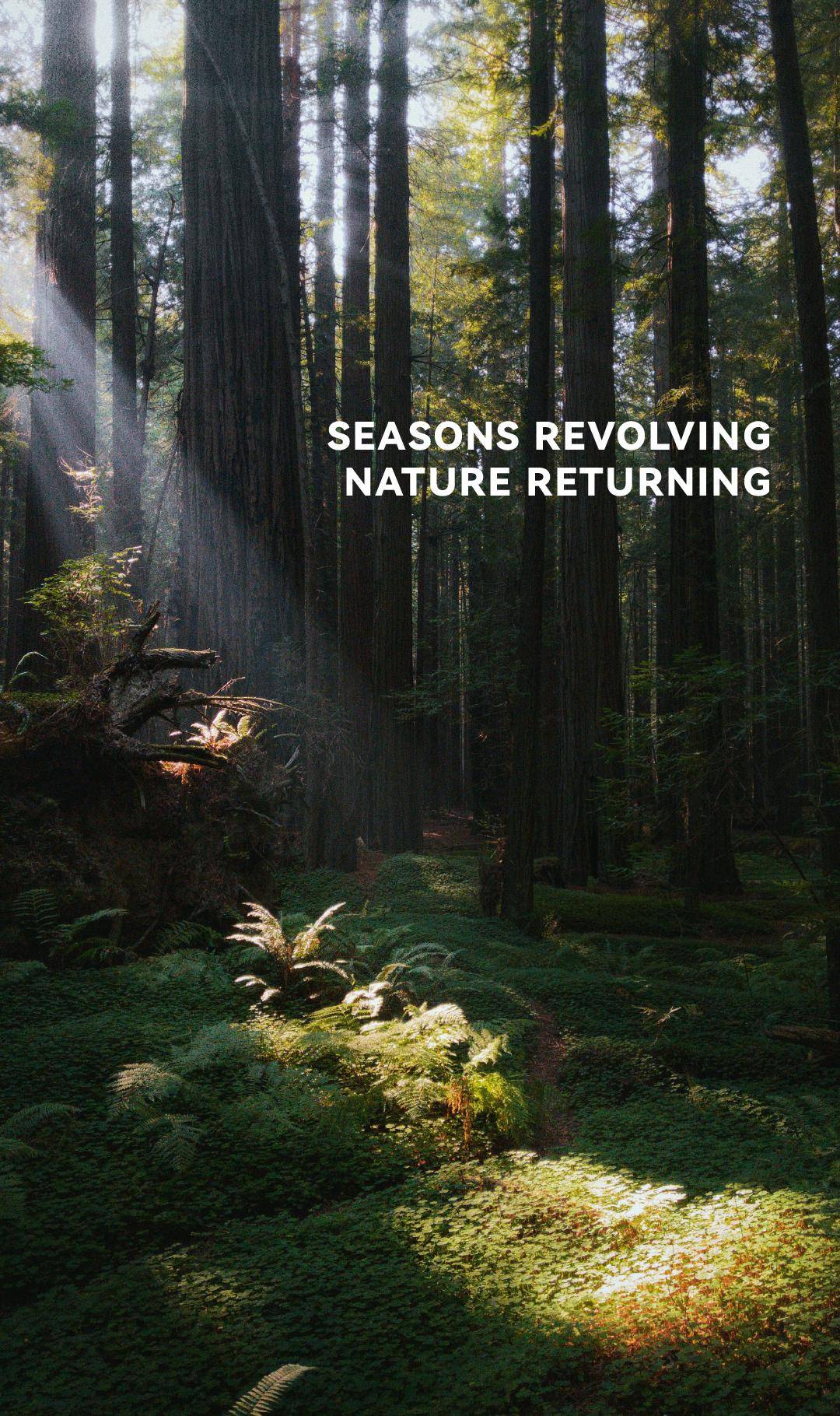 【布鲁盟设计】森派生活的诗意哲学 | 780㎡深圳招商