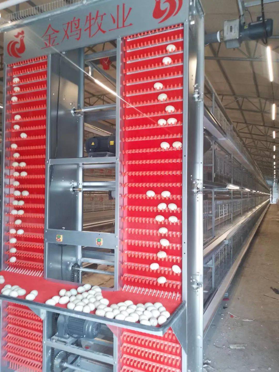 清塘镇新龙村:标杆党支部"四聚焦"推进强村富民,打