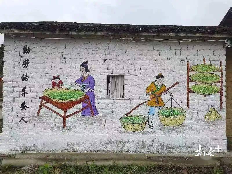 既美化了村容村貌,又营造了浓厚的蚕桑文化氛围