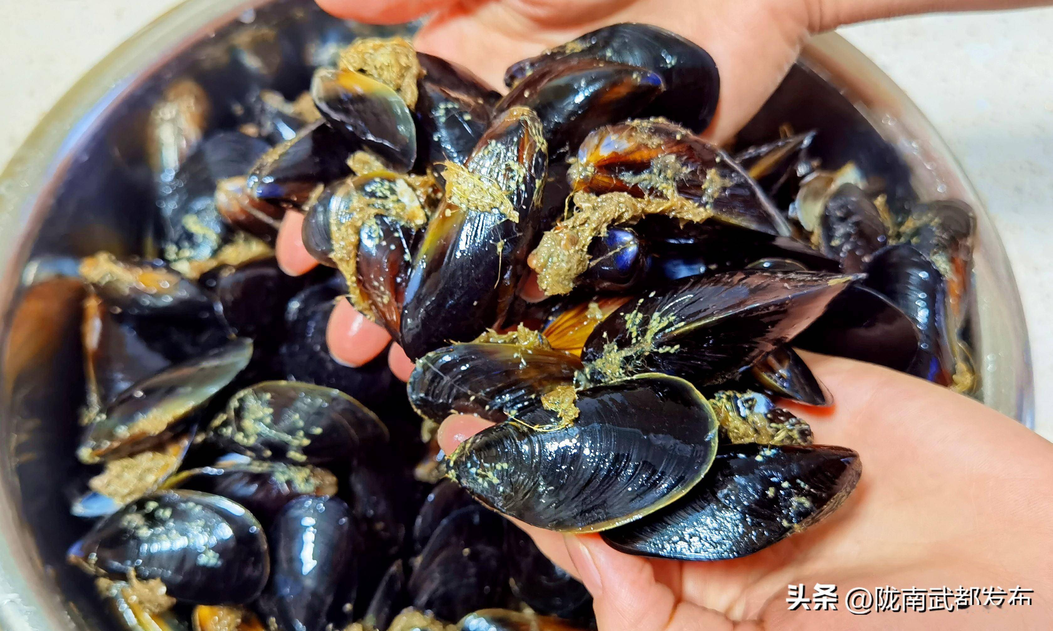 抓紧吃"开春第一鲜",才3元一斤,人人吃得起,鲜美营养又解馋_海虹_美味