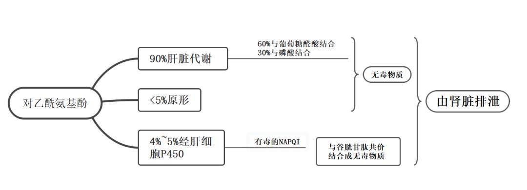 对乙酰氨基酚会影响儿童生长发育吗?