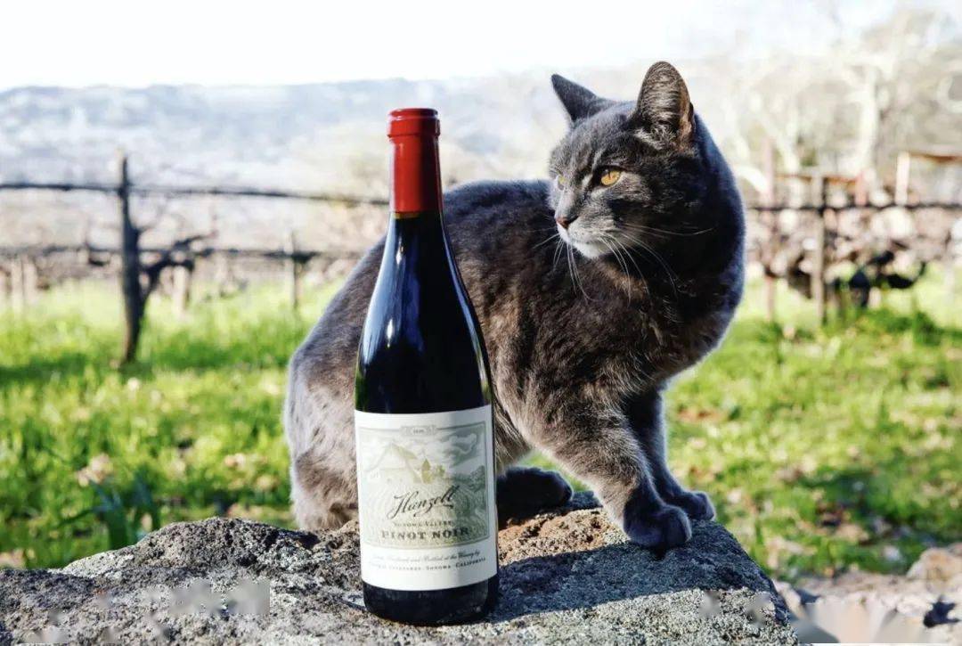 大旧金山48个必打卡地,走起_版权_优胜_加州