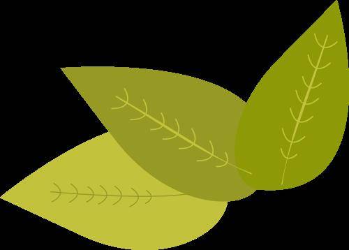 怀着当个好医生的朴实梦想,传递仁爱的信仰,创造生命的奇迹,橘井泉香