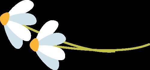 山东齐鲁制药公益慈善基金会荣获2023济南城市软实力榜样