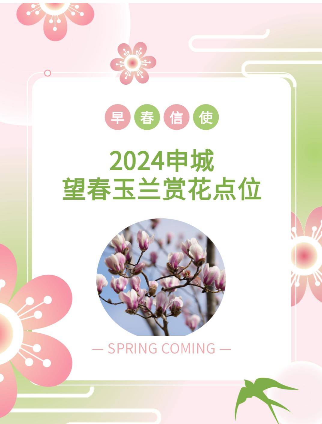 望春玉兰望春玉兰辰山植物园地址:松江区辰花公路3888号春风化雨,润物