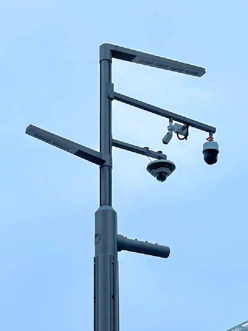 在福田区市花路一百多米的人行道旁有几根神奇的路灯杆除了传统灯杆的