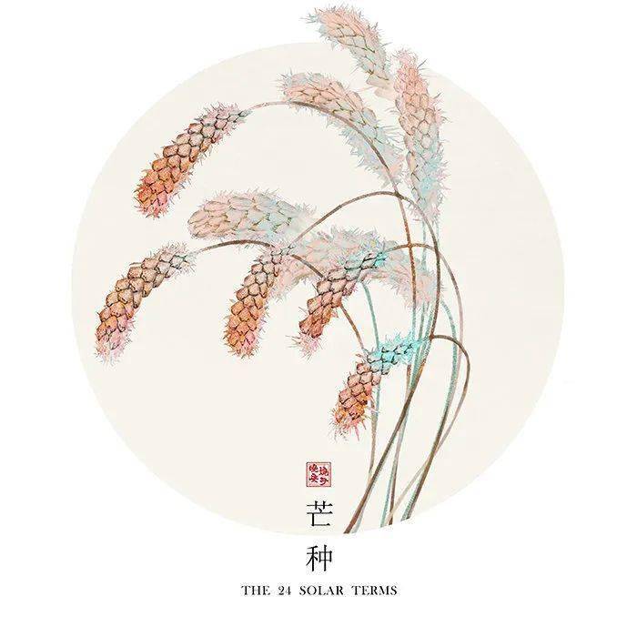 二十四节气,24张美图,24首诗词,又被中式美学惊艳