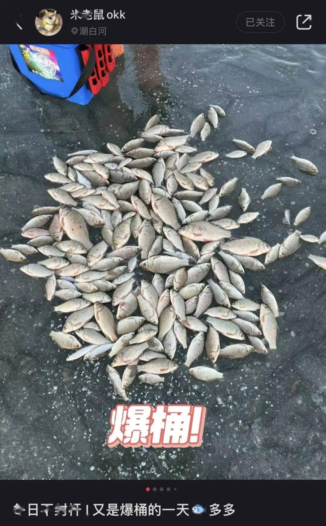 在普通钓鱼佬还需要仔细研究"水涨钓浅,水退钓深","出门看天色,钓鱼看