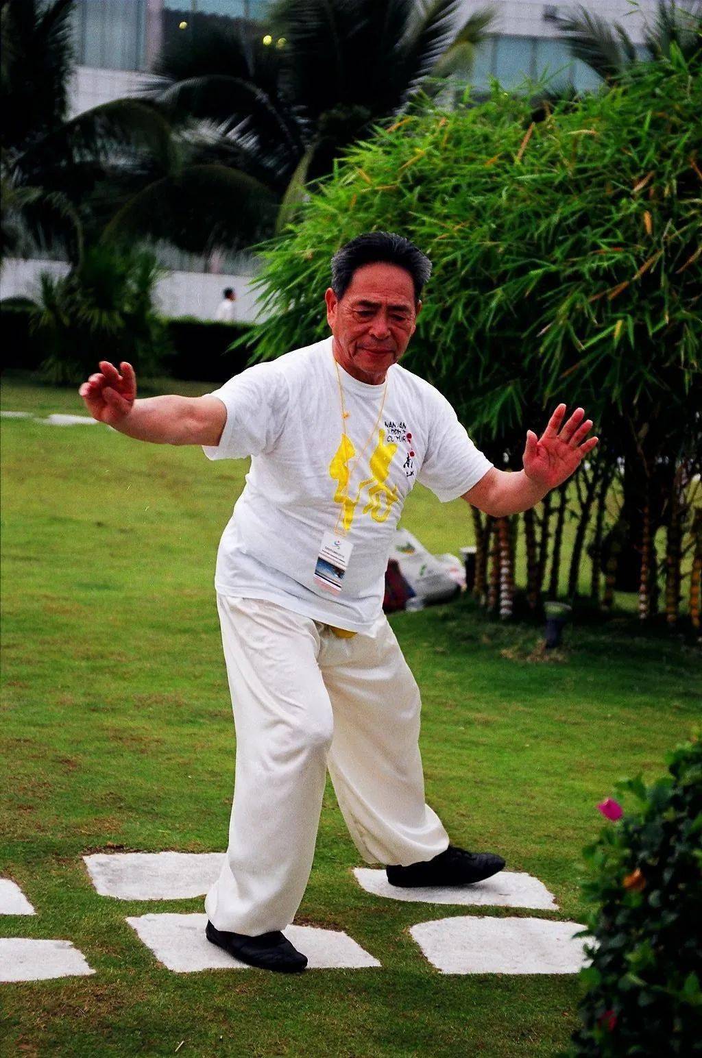 冯志强先生积累的数十年练拳精要(四)_经络_脏腑_三宝