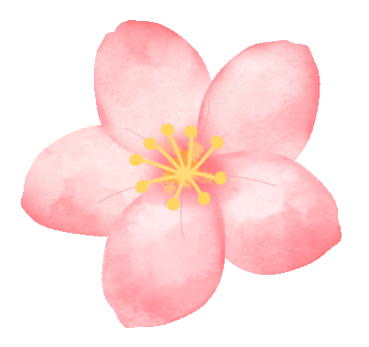 第三届常德市旅发大会暨2024年桃花源文化旅游节3月