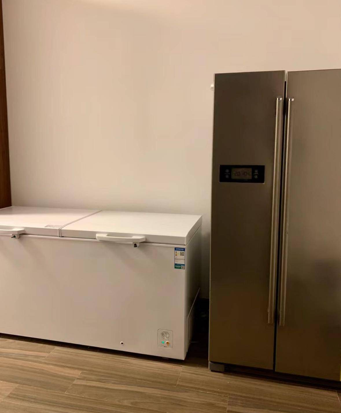 曾经风靡一时的"冰柜",为什么现在没人买了?过来人说出大实话_冰箱_食