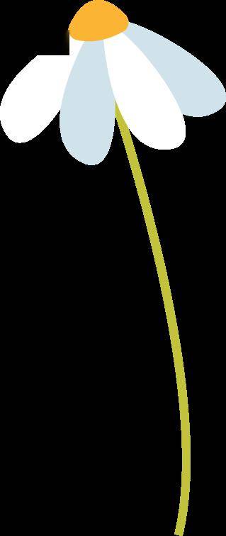 支教青春|熊泽坤:支为余心向善,教而庆有所积_教学_物理_知识