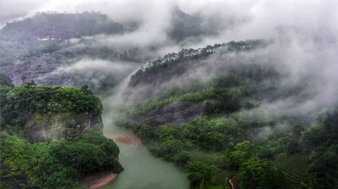 来大武夷赏春光