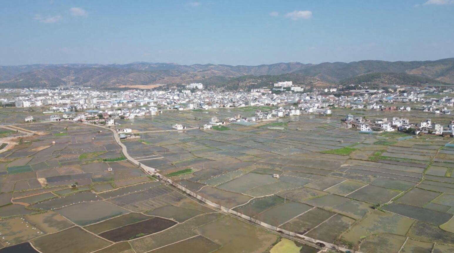 弥勒竹园镇:农户春耕备耕忙 莲藕移栽正当时_工作_种植户_产业