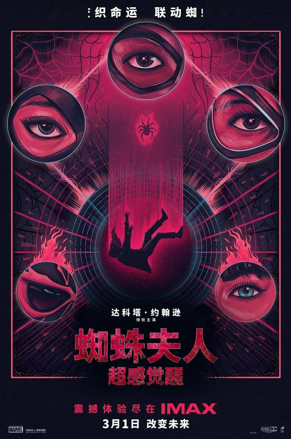 英雄的起源故事,急救护工凯茜(蜘蛛夫人)因一场意外发现自己能够预知