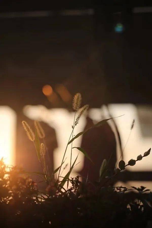 在无趣的世界里,找到有趣的活法_生活_人生_光阴