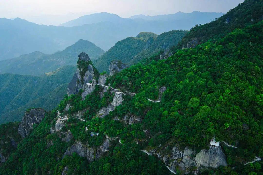 来大武夷赏春光