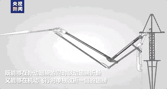 "慢放,都没发现这是机械鸟!"_小隼_飞行器_翅膀