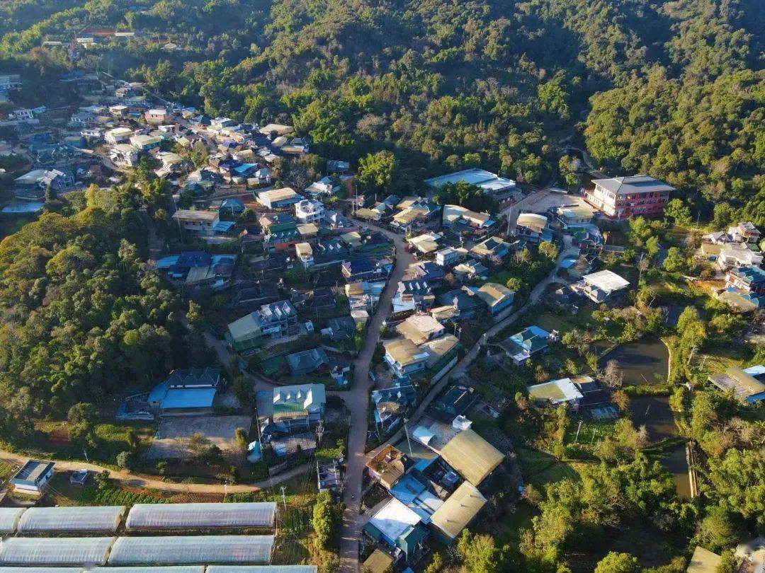 景洪市勐龙镇立足口岸谋产业文旅融合促增收