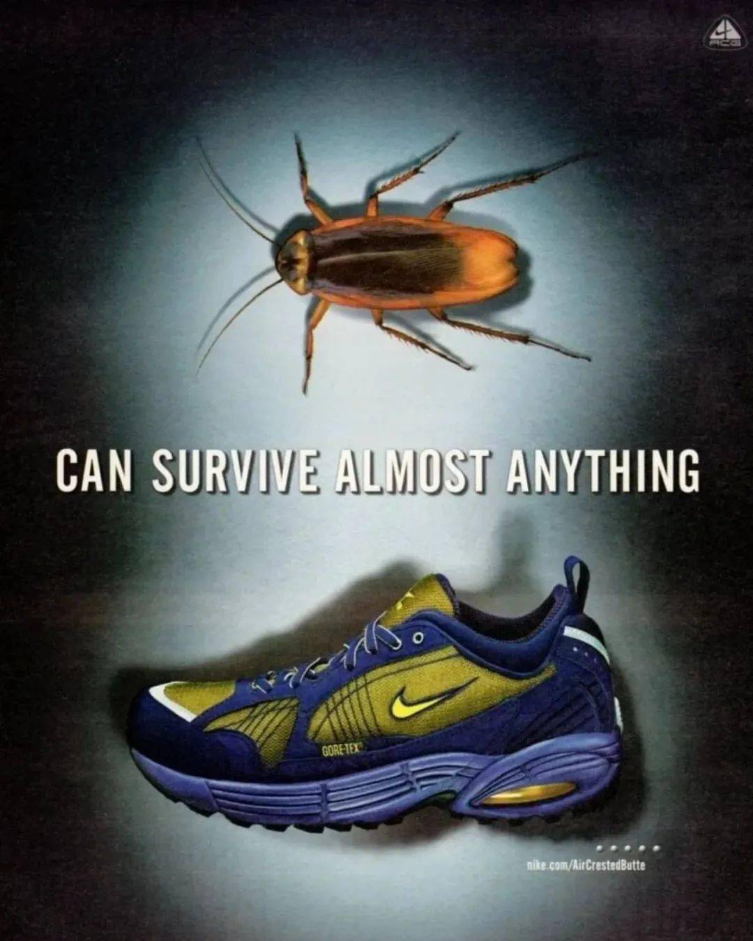 shox bb4nike air court implosionnike air max 120pic via:nick