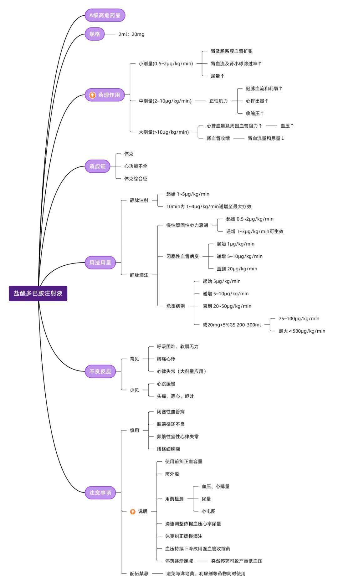 去甲肾上腺素思维导图图片