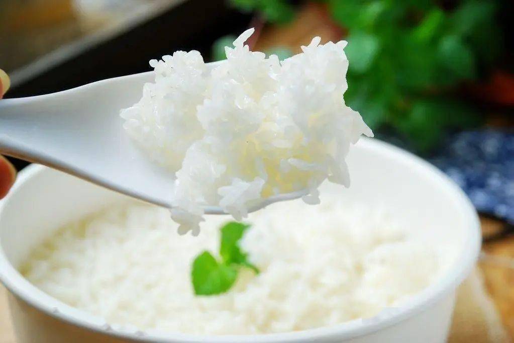 老鸭49克,半成品里脊53克油豆腐20克,大白菜63克,毛毛菜63克肉丝10克