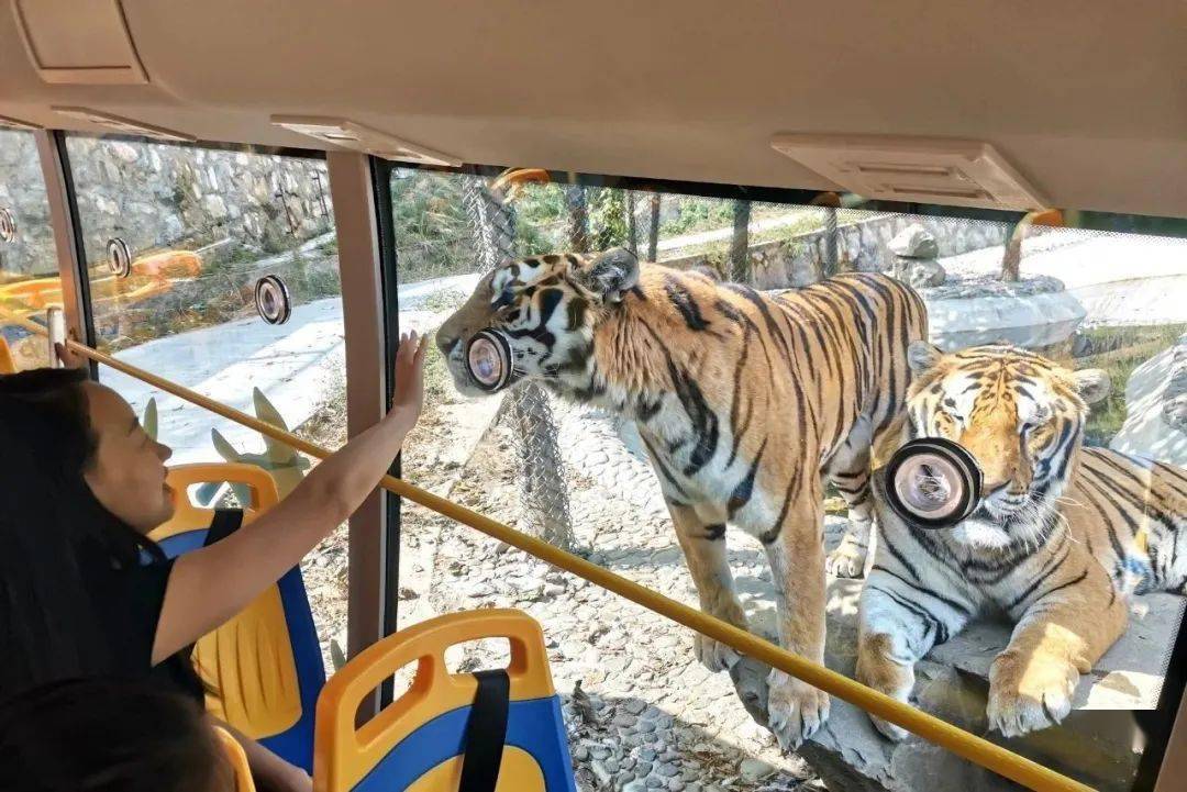 所有女士们看过来,栾川这个景区._野生动物园_猛兽_世界