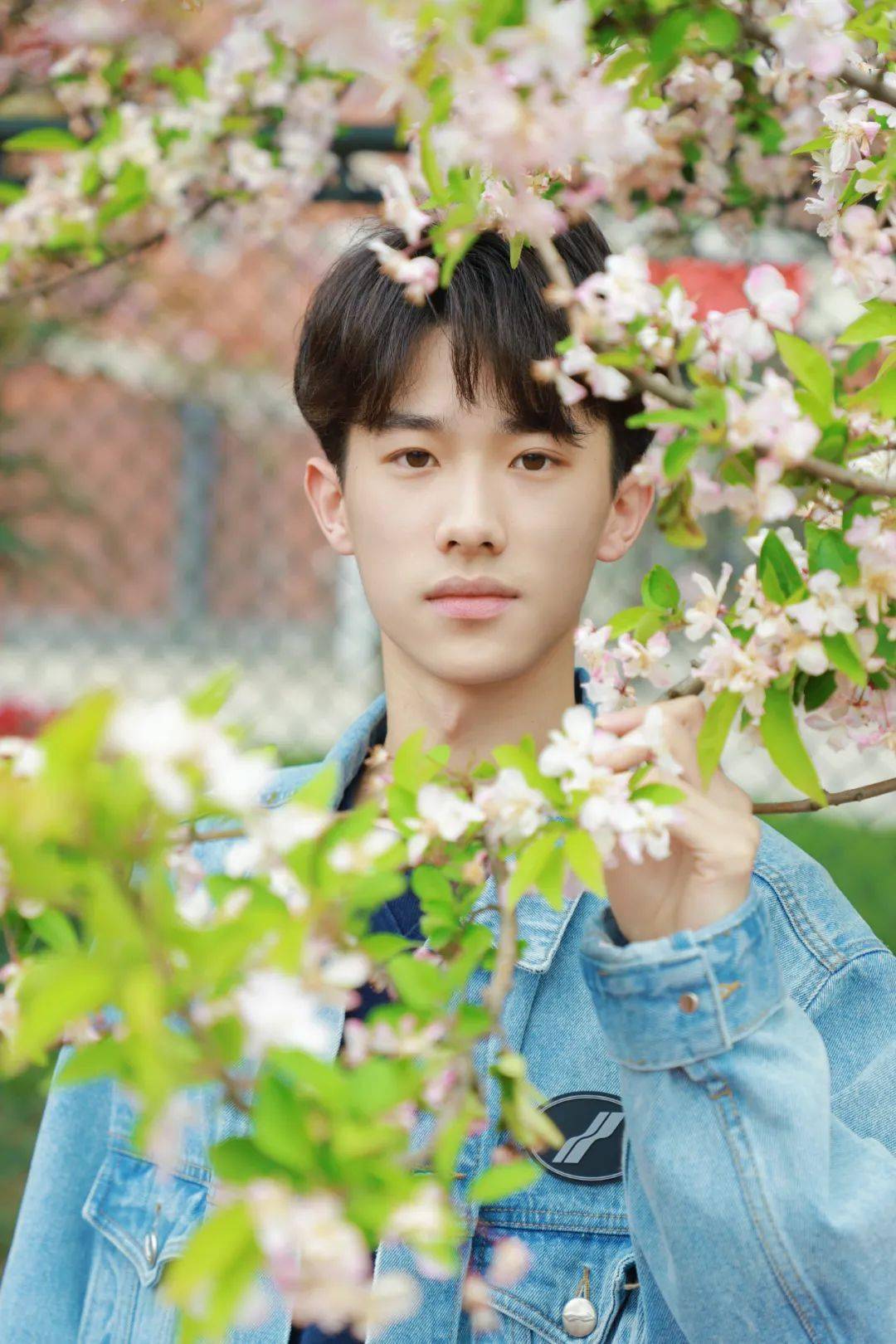 接下来的川传是无数次的春和景明_樱花_校园_四川