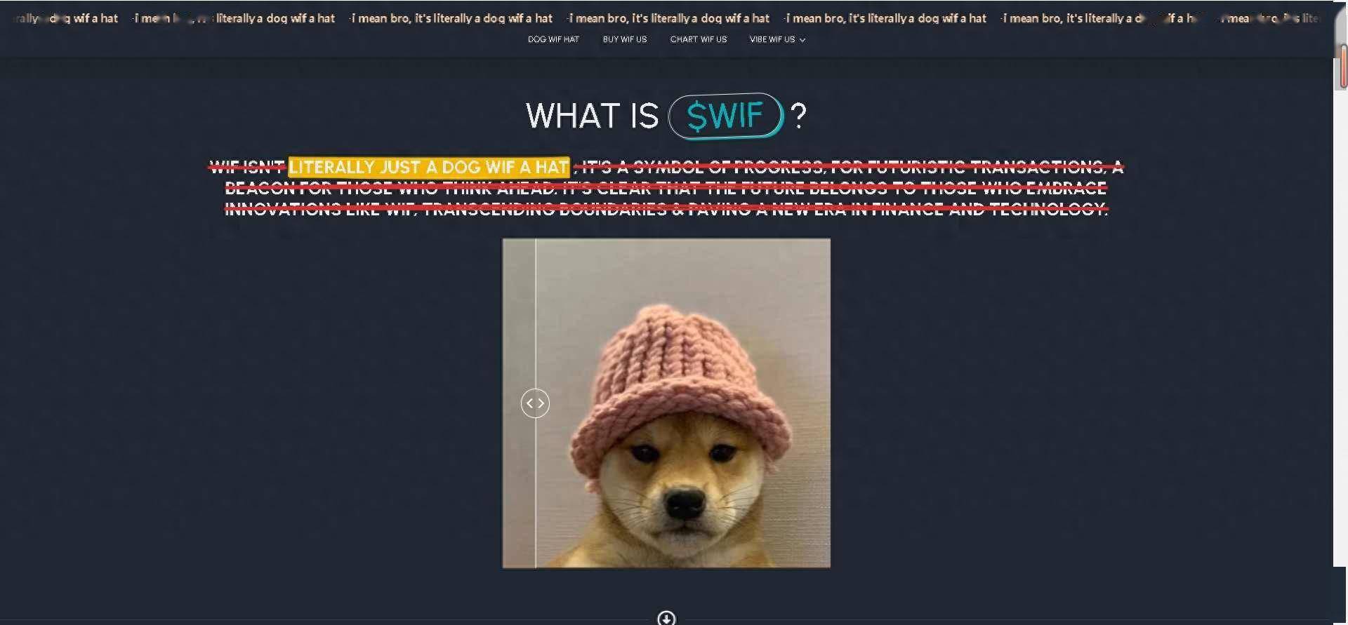 solana 链上的 meme 币 wif,一只带着粉色毛线帽的柴犬