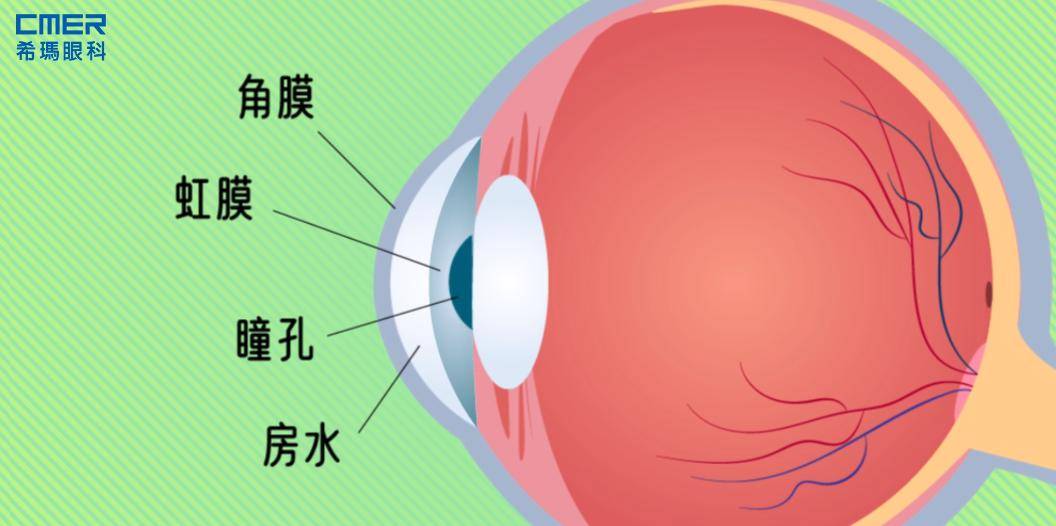 脾气不好可能把眼睛"气瞎"!患这眼病的年轻人越来越多