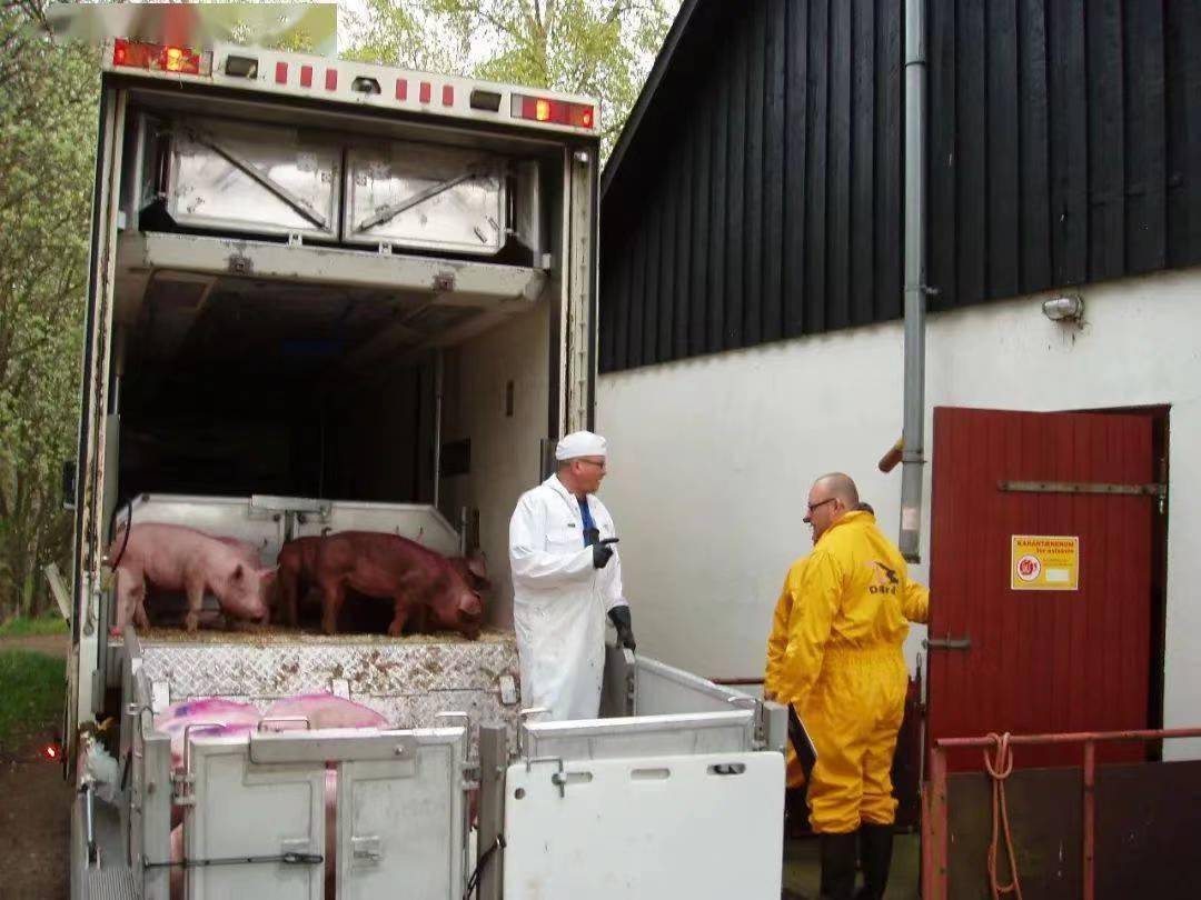 (一)装载输华种猪的箱,轮船,车或飞机应清洁,卫生,并使用经爱方批准的