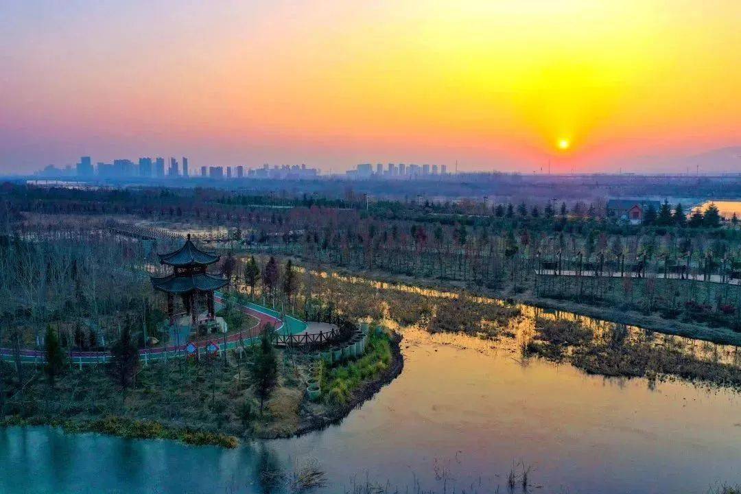 洛阳这些绝美花海,快去打卡!_公园_梅花_游园