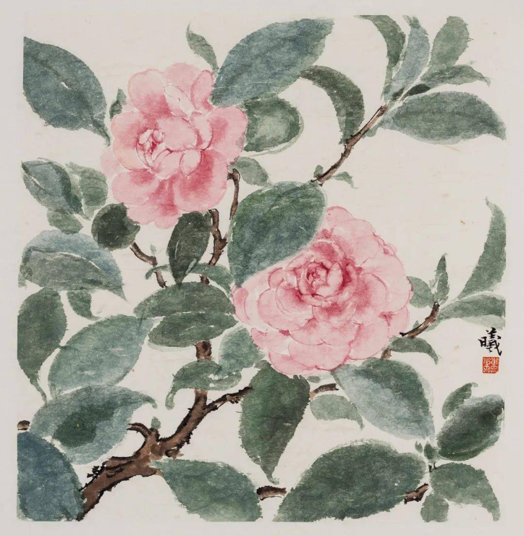 林曦的画 | 共赏山茶,良辰久长_花朵_先生_重庆人