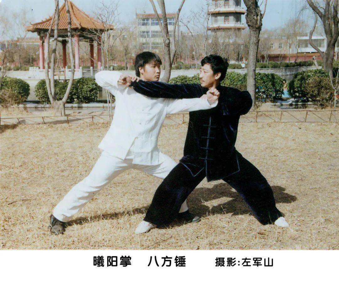 邢台非遗丨曦阳掌太平拳_清河_功法_套路