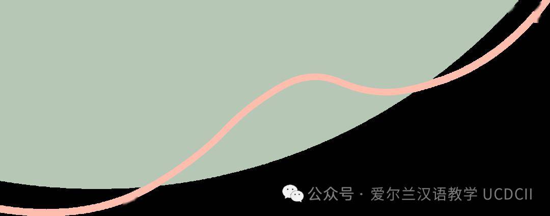 《爱尔兰独立报》:威克洛多所学校举办中国新年庆祝活