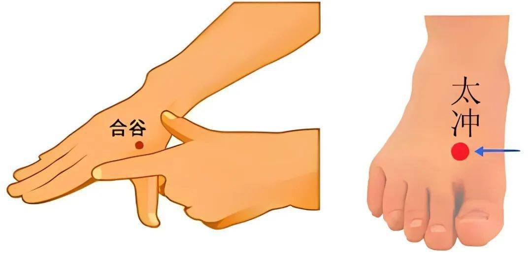 春天开四关,疏通全身,强壮胃肠,不花钱的养肝大法快收藏!