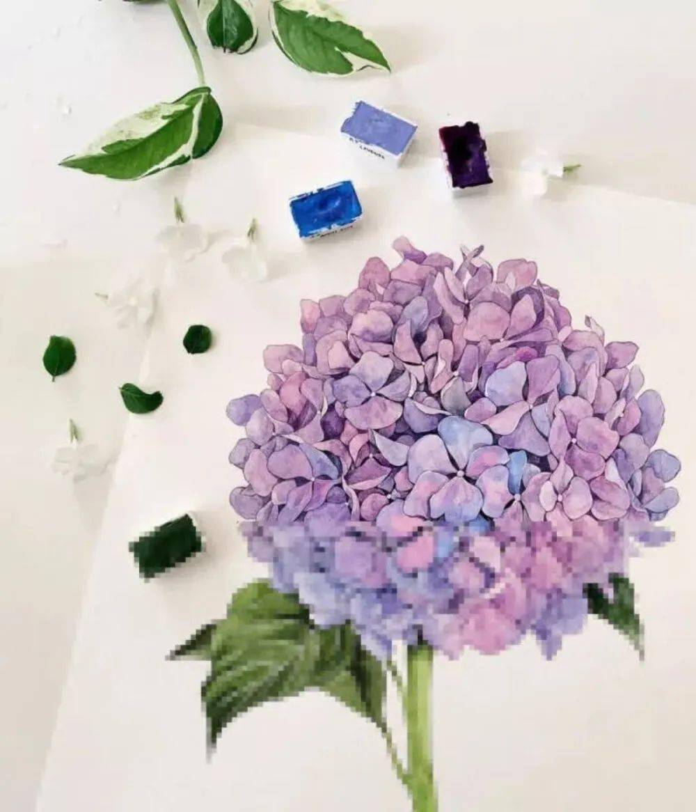 不同风格画一朵绣球花!水彩绣球花系列作品欣赏