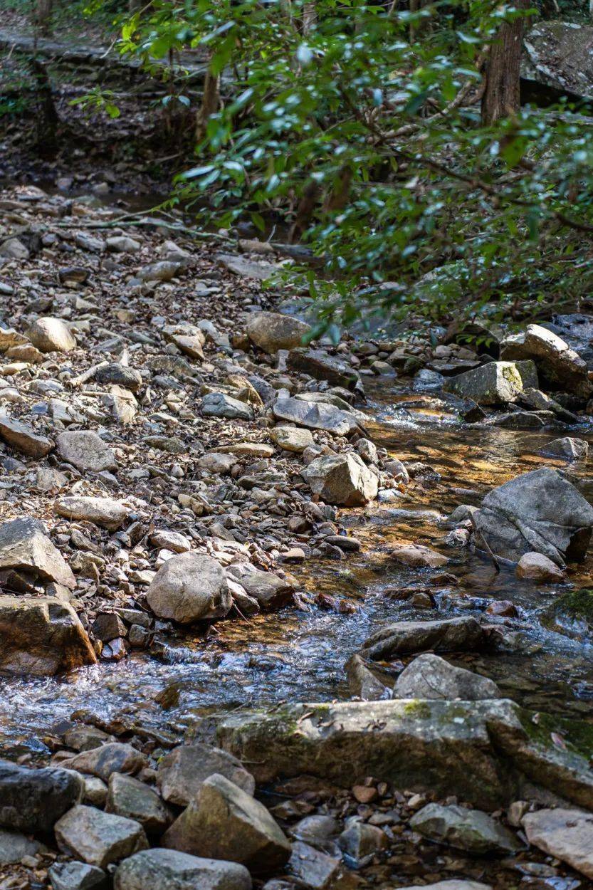 长寿之乡浙江仙居春日唤醒计划徒步研学唤醒春日就在此刻