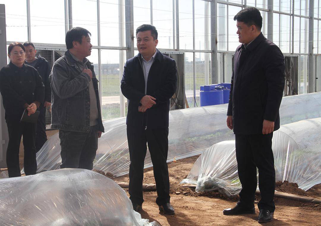 临清市委副书记,市长雷启军督导重点工作