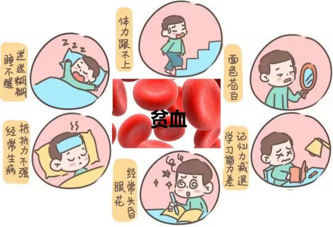 【健康科普】慢性肾脏病的并发症——肾性贫血_患者_影响_红细胞