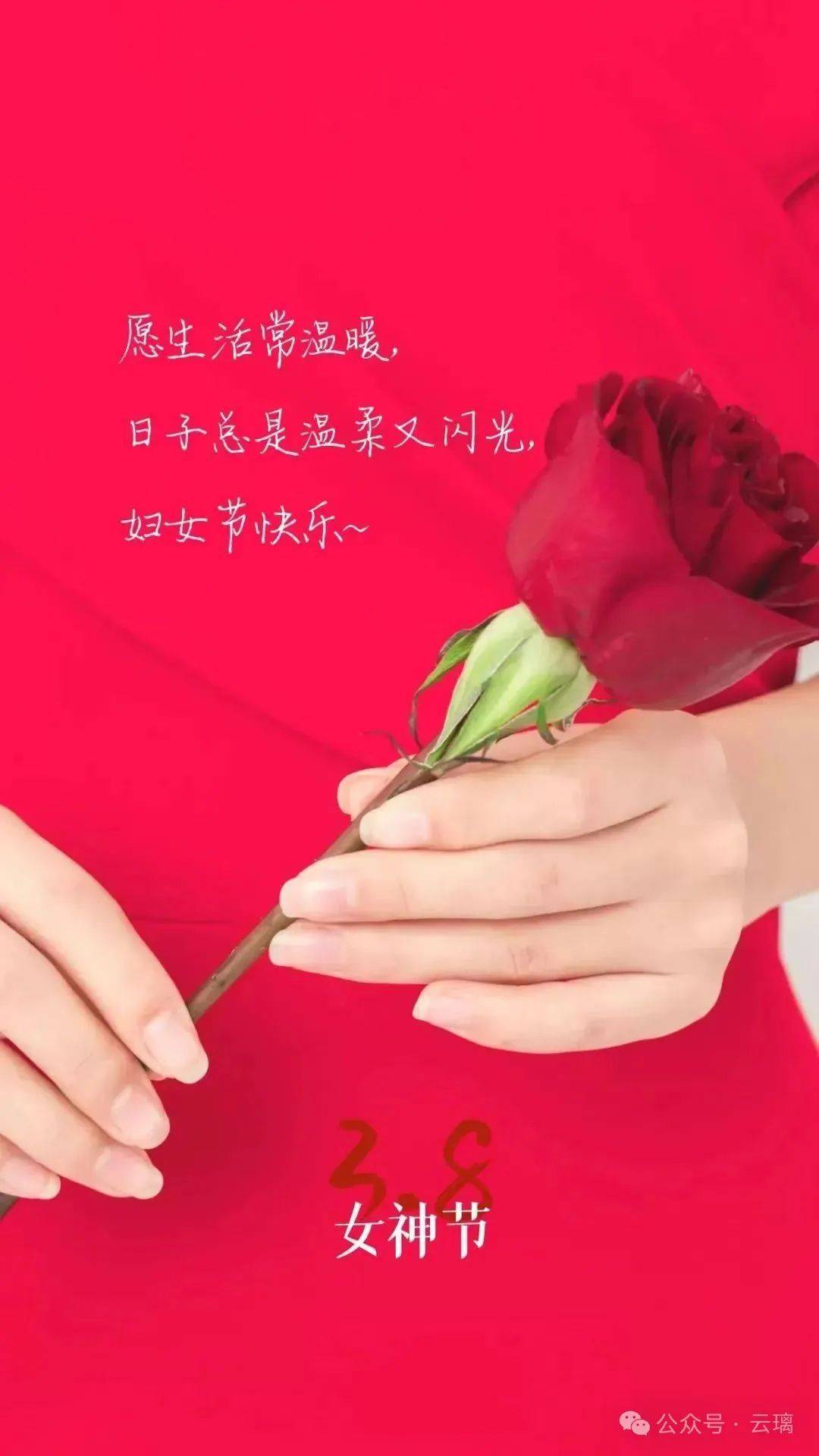 女人节最美的一句话