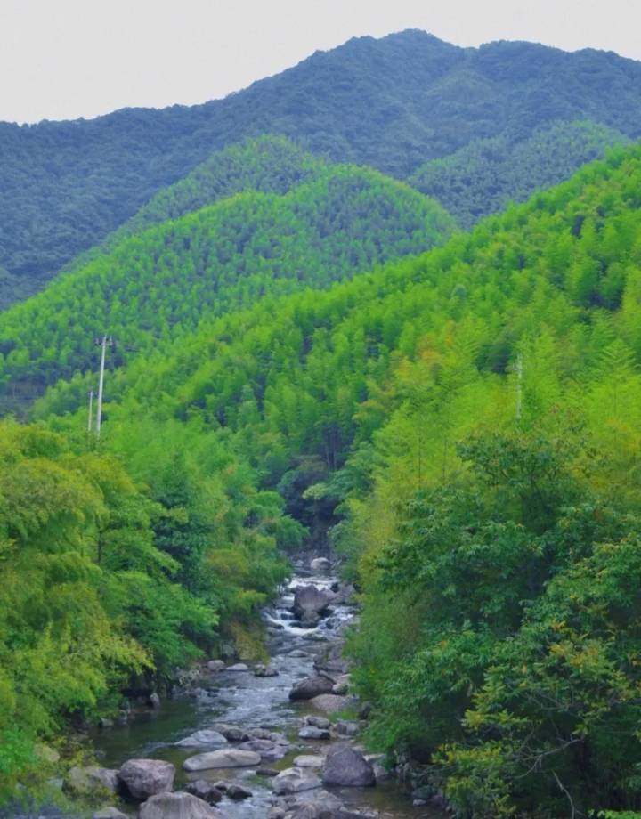 晚潮|春天序曲_安吉_溪流_竹子