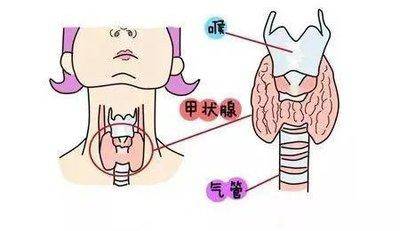 守护女性美丽和健康